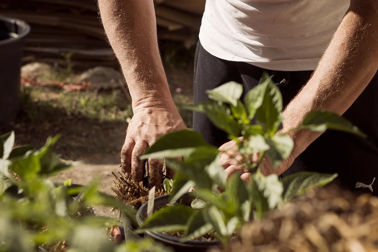 Gartenarbeit