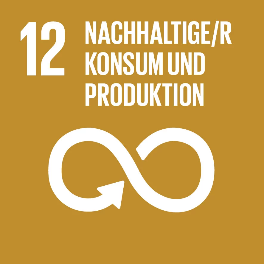 UN-Ziel 12: Nachhaltige/r Konsum und Produktion